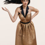 Bee Hive Dress